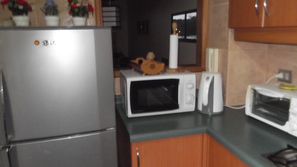 Departamento Duplex Centro Pucon Apartment Luaran gambar